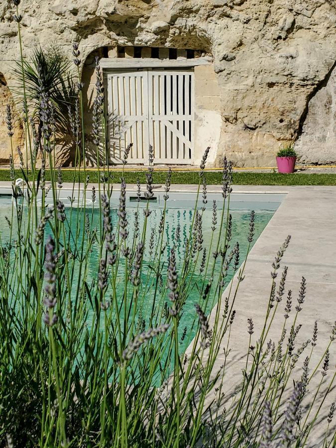 Domaine Du Val Sauvage Bed & Breakfast Langeais Bagian luar foto