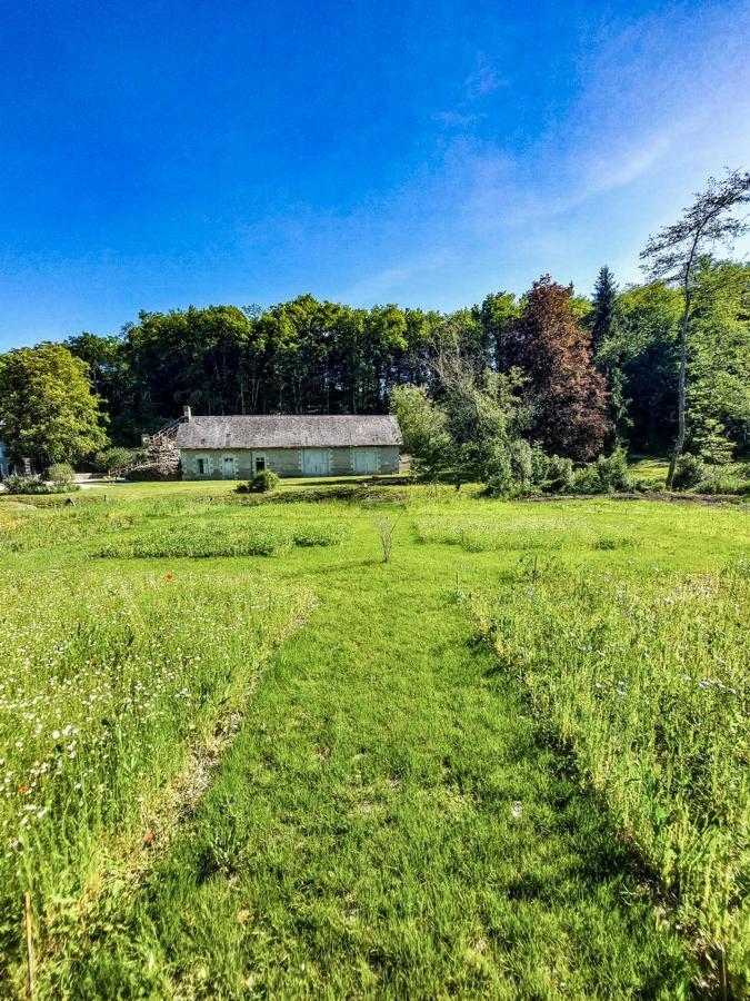 Domaine Du Val Sauvage Bed & Breakfast Langeais Bagian luar foto