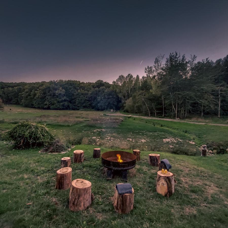 Domaine Du Val Sauvage Bed & Breakfast Langeais Bagian luar foto